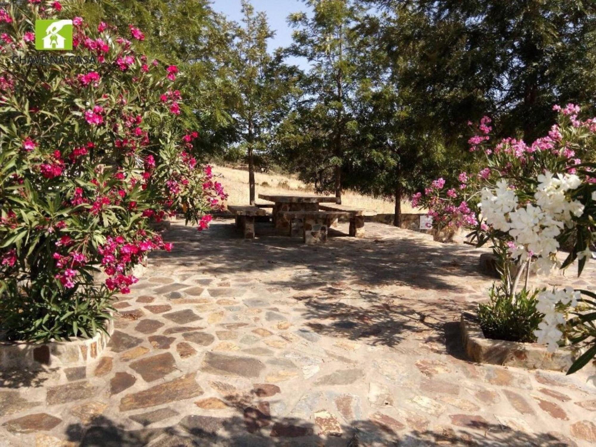 Casa Das Bonecas Farelos de Baixo Luaran gambar
